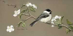 Apple Blossom Chickadee